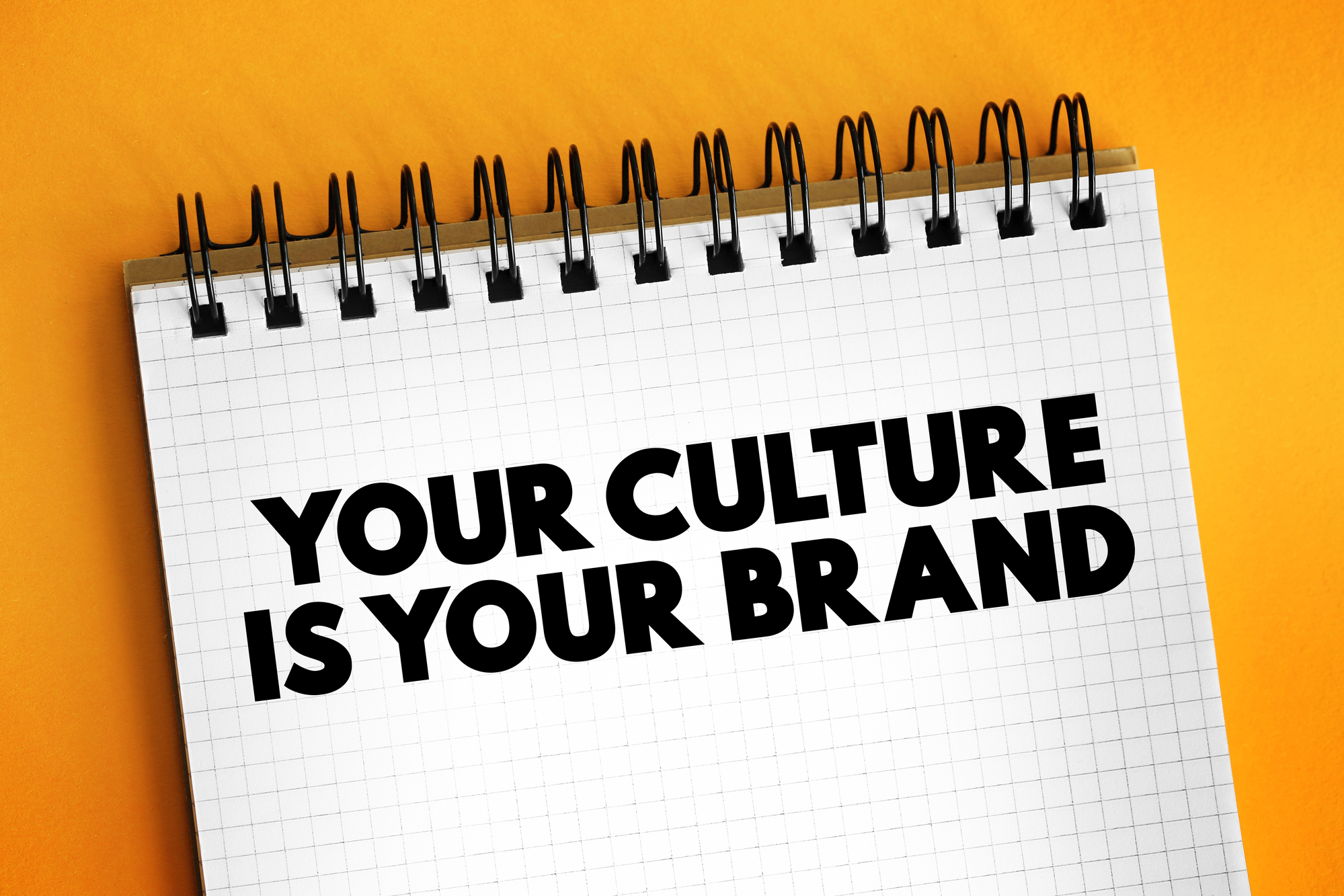 Your Culture is Your Brand, Brand Culture Consultant, Culture ...